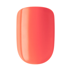 Impress Color Press On Nails - Prime